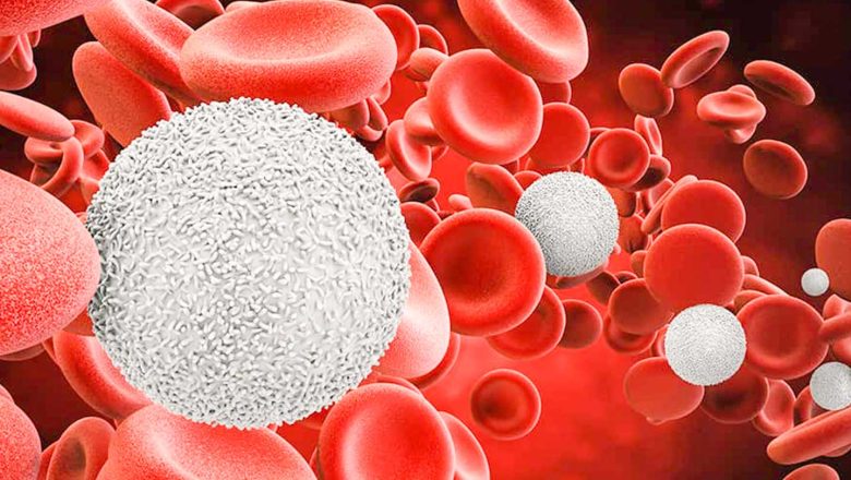 सिकलसेलकाे औषधि निशुल्क वितरण गर्ने सरकारकाे तयारी