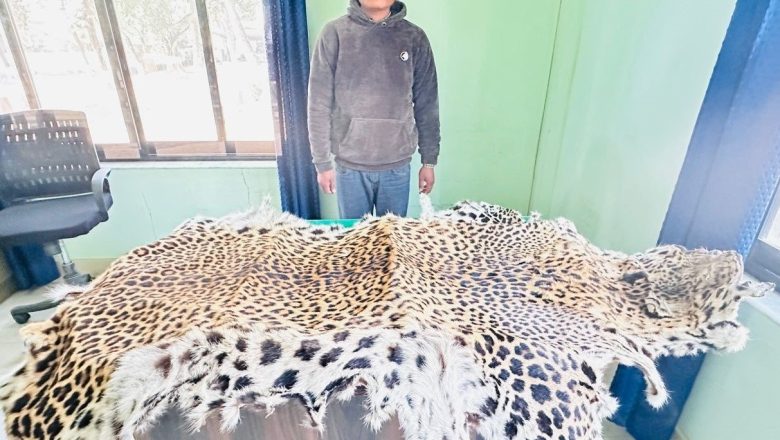 चितुवाको छालासहित युवक पक्राउ