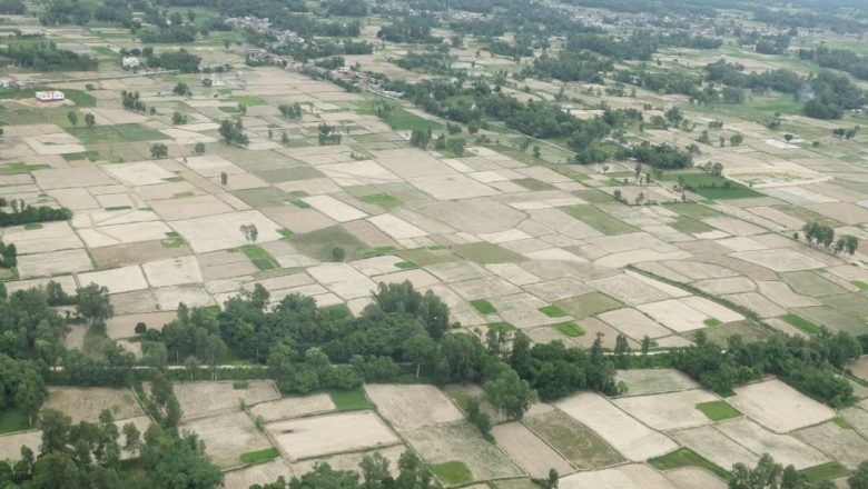आकाश ताक्दै किसानः महोत्तरीमा ३५ प्रतिशतमात्र रोपाइँ