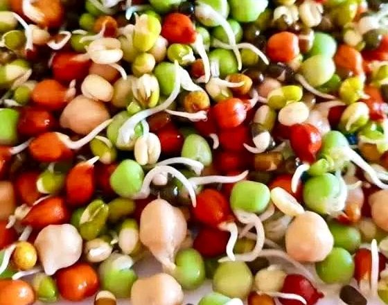 जनै पूर्णिमामा क्वाँटी खाने परम्परा